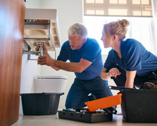 Best Affordable Plumber Near Me  in Flordell Hills, MO